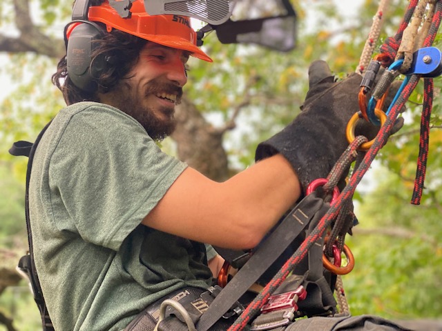 arboriculture nootka | 2815 chemin des laurentides, Sainte-Julienne, QC J0K 2T0, Canada | Phone: (579) 960-3070