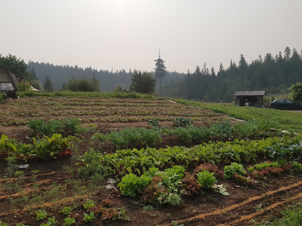 BlueJay Lake Farm | Strathcona, BC V0P 1T0, Canada | Phone: (250) 935-6940