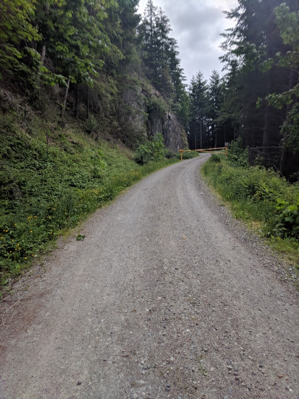 Blanchard mountain Trail Lower Parking lot | Bow, WA 98232, USA