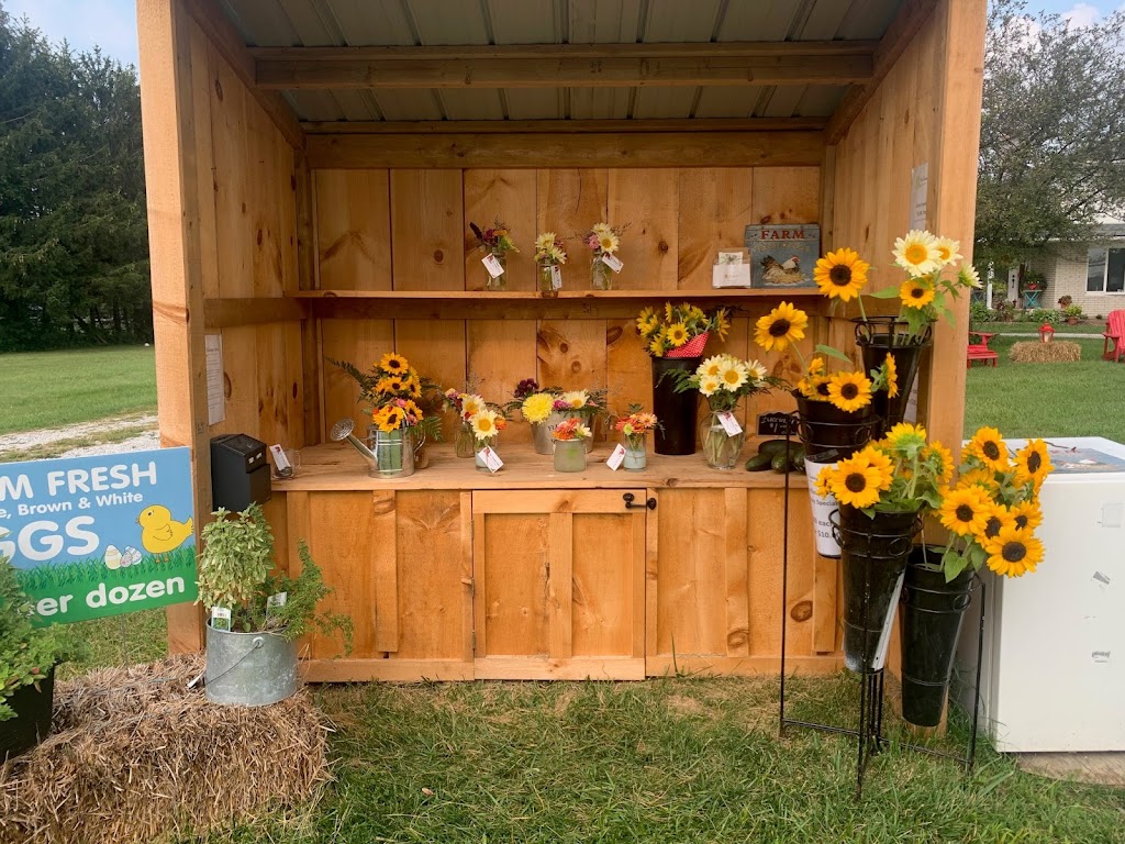 Funny Farm Country Cut Flowers | 4051Kimball Road, Corunna, ON N0N 1G0, Canada | Phone: (519) 671-7903