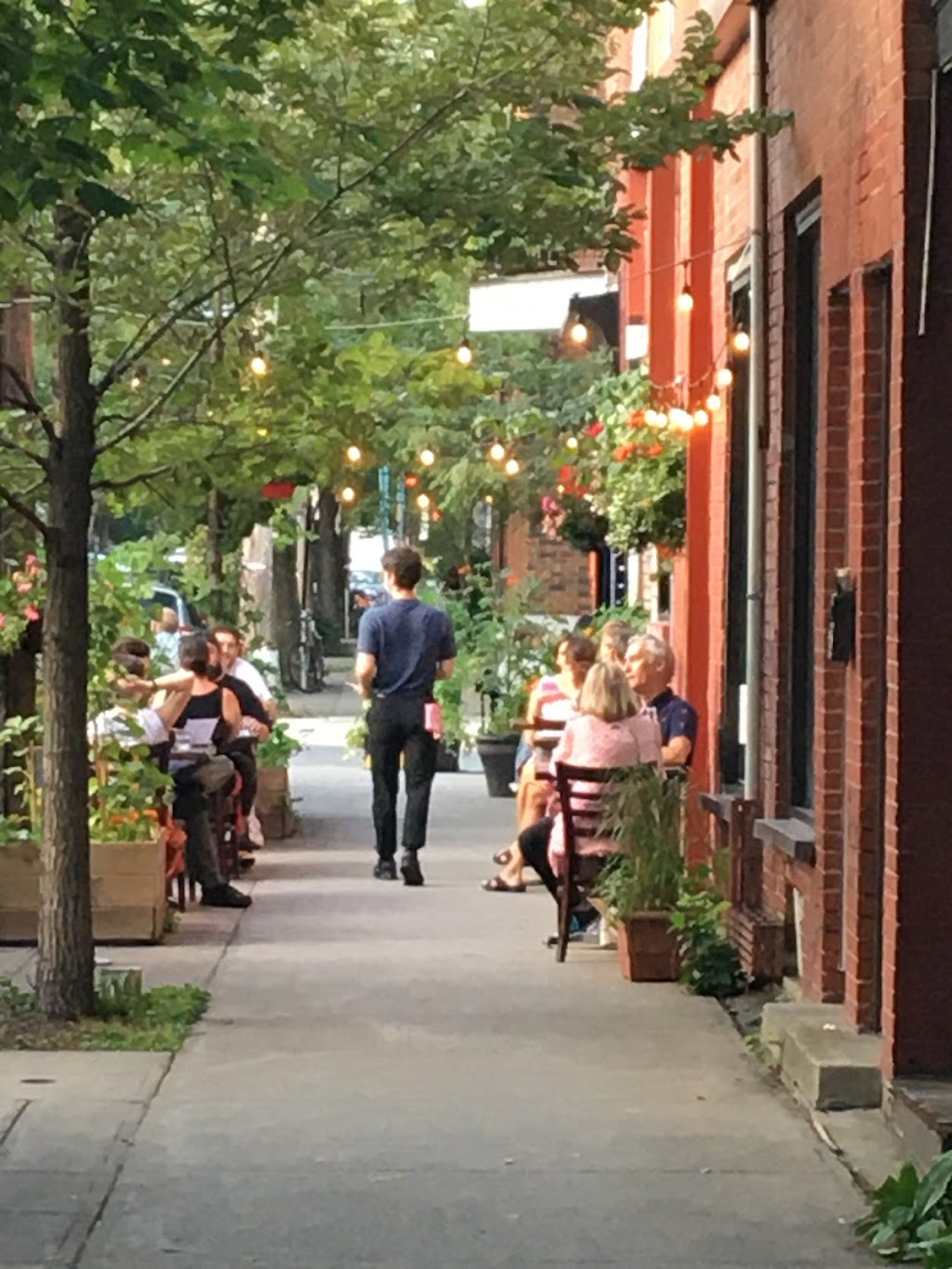 Naturopathie du Plateau - Montréal | 5090 Rue de Brébeuf, Montréal, QC H2J 3L7, Canada | Phone: (514) 527-9750