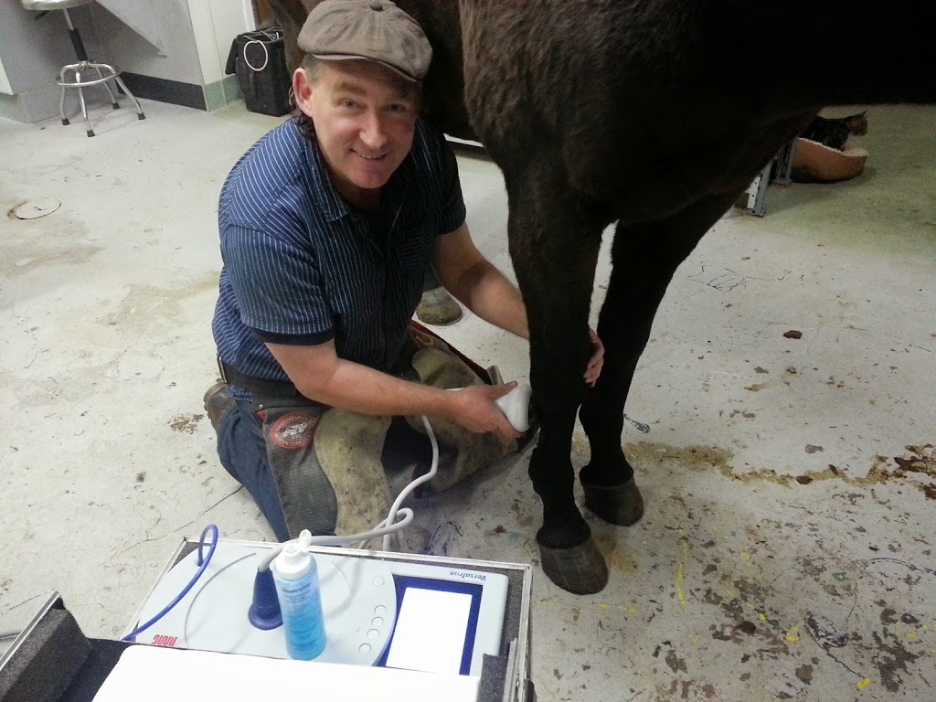 Archibald Equine Veterinary Center | 51424 AB-60, Spruce Grove, AB T7Y 1C8, Canada | Phone: (888) 470-0010