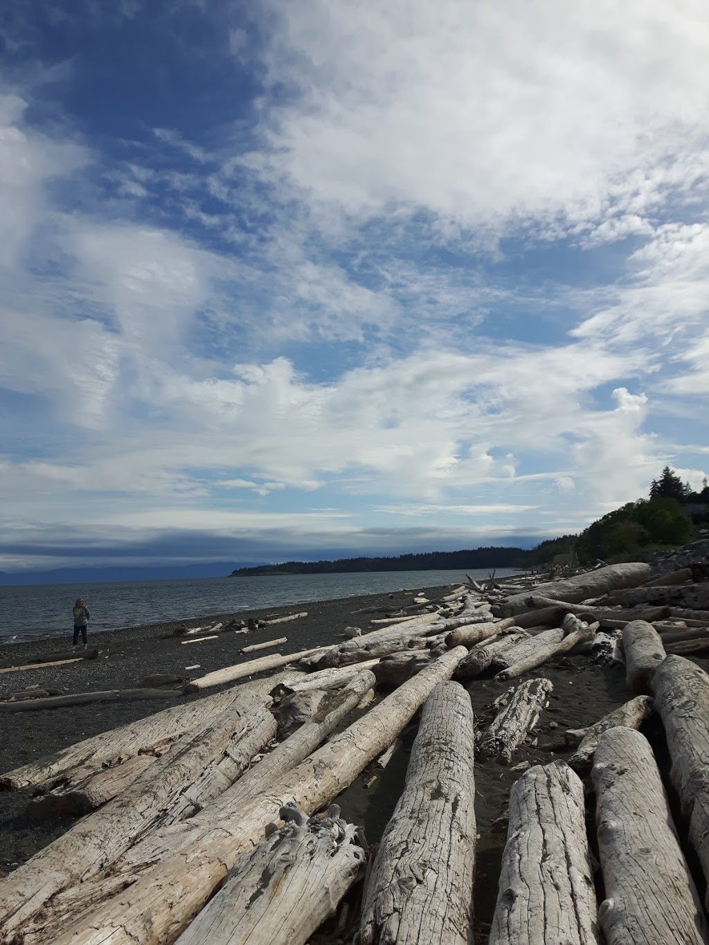 Inner Realms Counselling | Point Ideal Dr, Lake Cowichan, BC V0R 2G0, Canada | Phone: (250) 858-7924