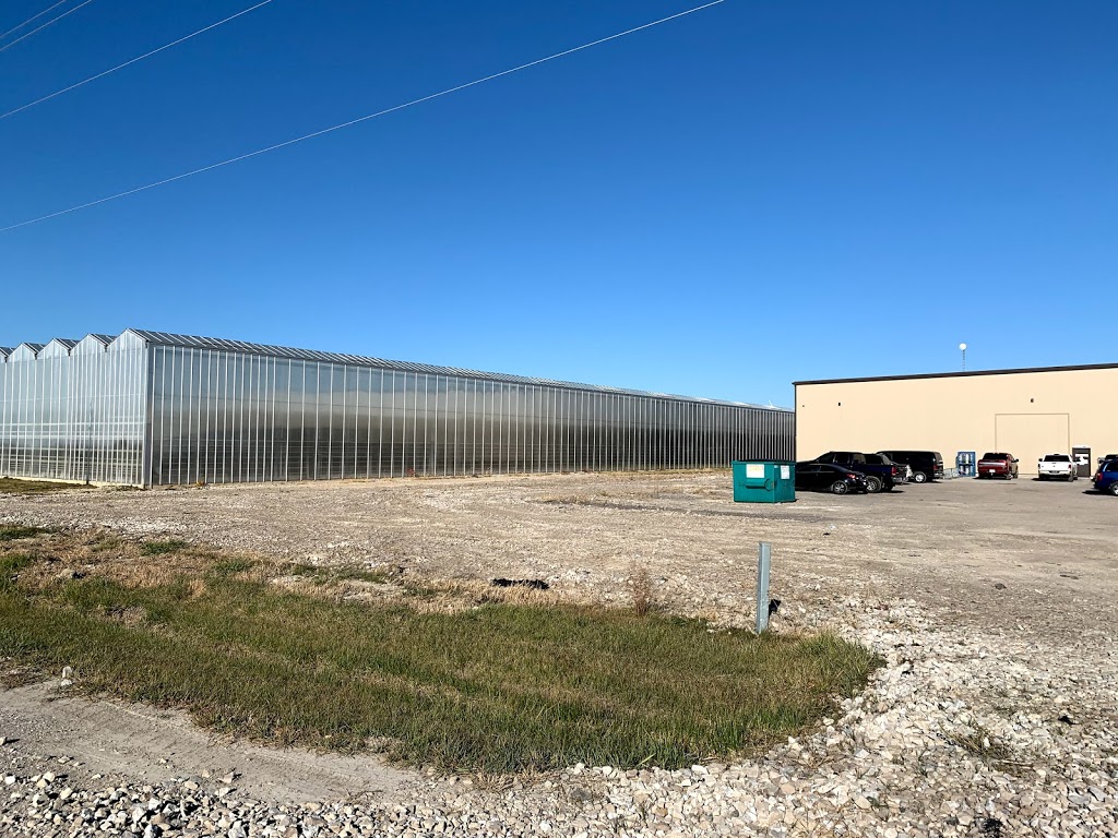 Hacienda North Farms | 21038-20730 Coatsworth Rd, Coatsworth, ON N0P 1H0, Canada | Phone: (519) 800-5062