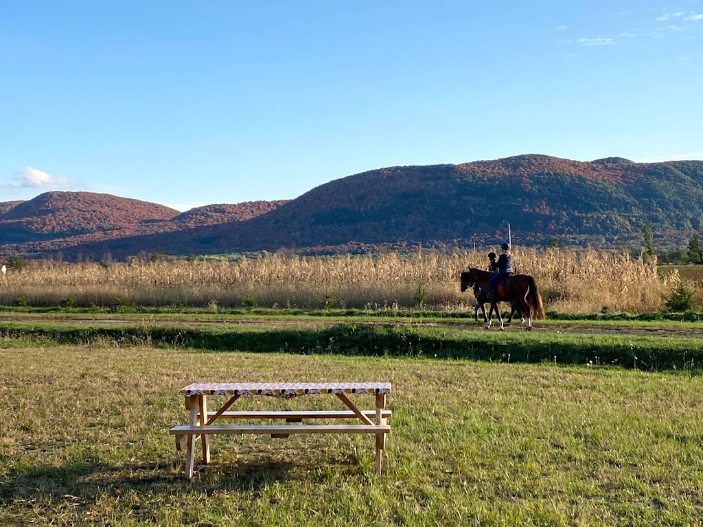 Domaine Vineterra, Vignoble | 815 Chem. Pion, Mont-Saint-Hilaire, QC J3H 0L4, Canada | Phone: (450) 584-3788