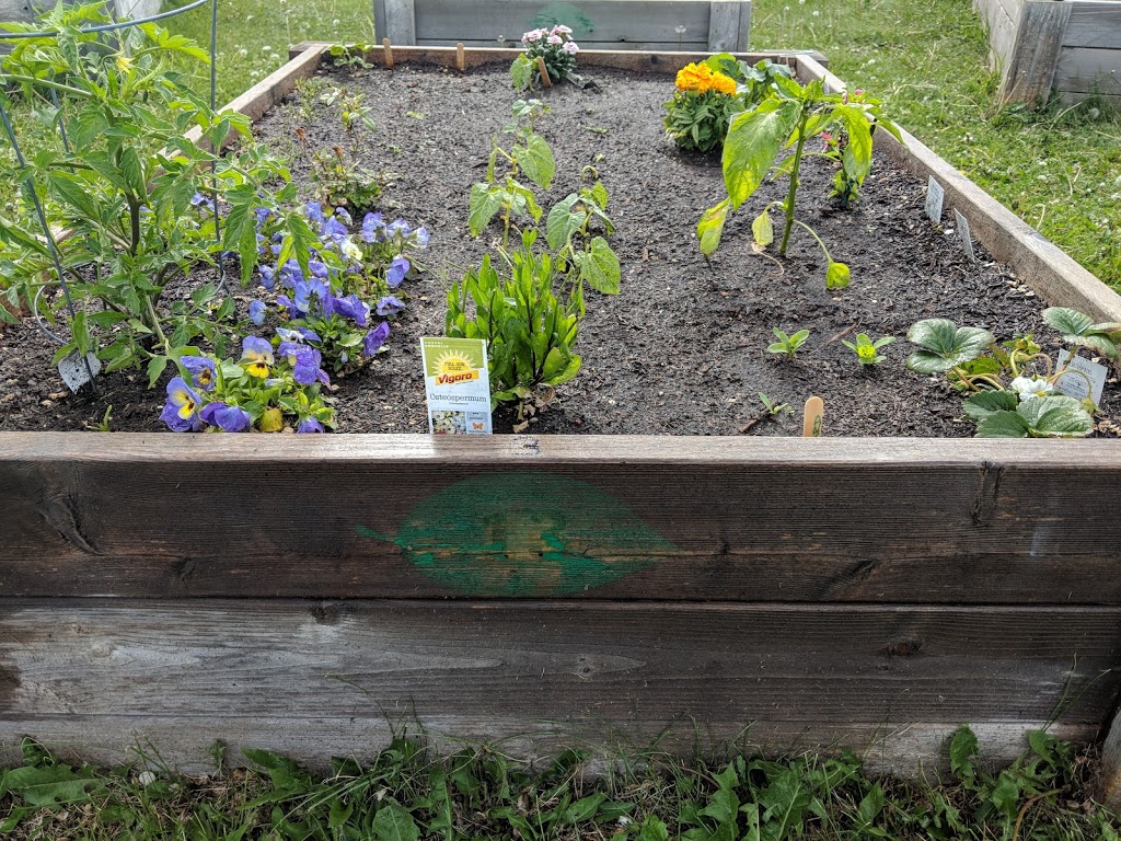 Acadia Community Garden and Art Society | 332 94 Ave SE, Calgary, AB T2J 0E8, Canada | Phone: (403) 800-8365