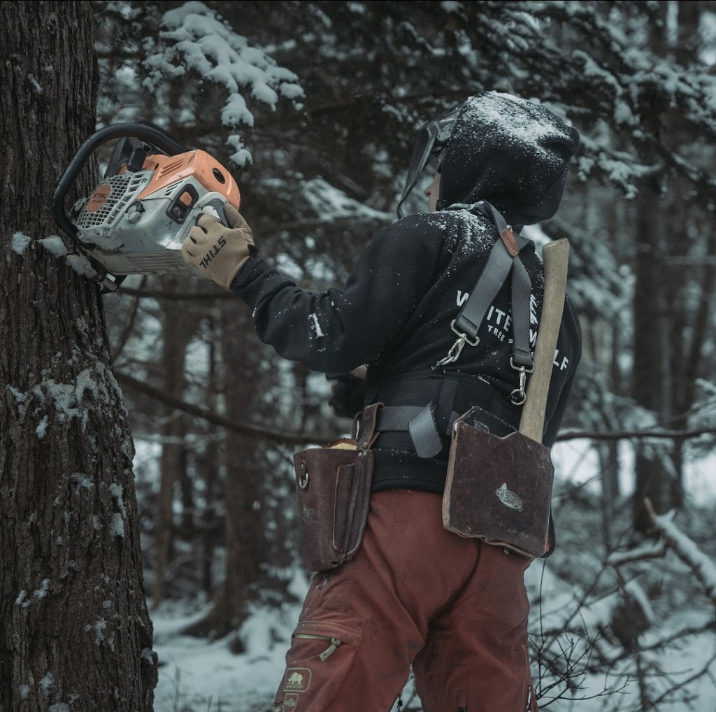 White Wolf Tree Service | 90 Wakefield Ct, Middle Sackville, NS B4E 0H1, Canada | Phone: (902) 414-6429