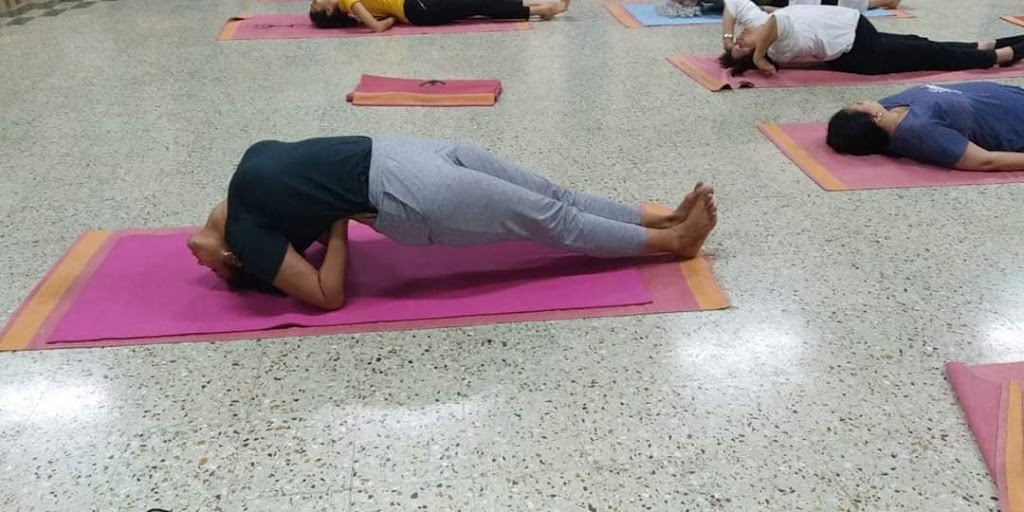 Yogavidhin | Walkout Basement, 14 Hearthbridge St, Kitchener, ON N2R 1L5, Canada | Phone: (613) 407-4192