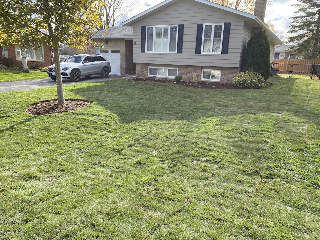 ltd property services | 339 Pefferlaw Rd, Georgina, ON L0E 1N0, Canada | Phone: (416) 574-6427