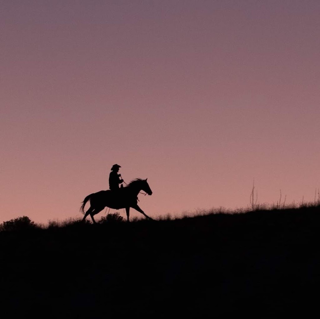 Layton Photography | Box 1154, 104 Hollman Close, Penhold, AB T0M 1R0, Canada | Phone: (403) 304-0772