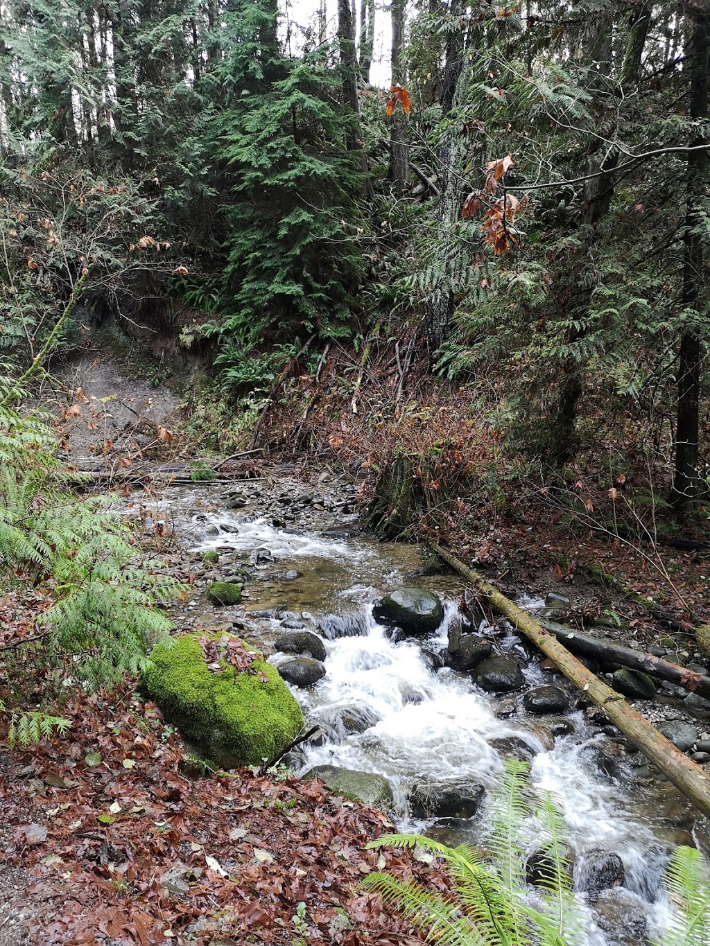 Byrne Creek Ravine Park | 6555 Byrnepark Dr, Burnaby, BC V5E 4L4, Canada | Phone: (604) 294-7450