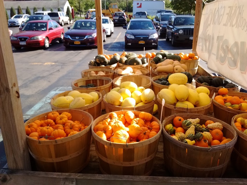 Country Peddlers | 1340 Orchard Park Rd, West Seneca, NY 14224, USA | Phone: (716) 675-4670