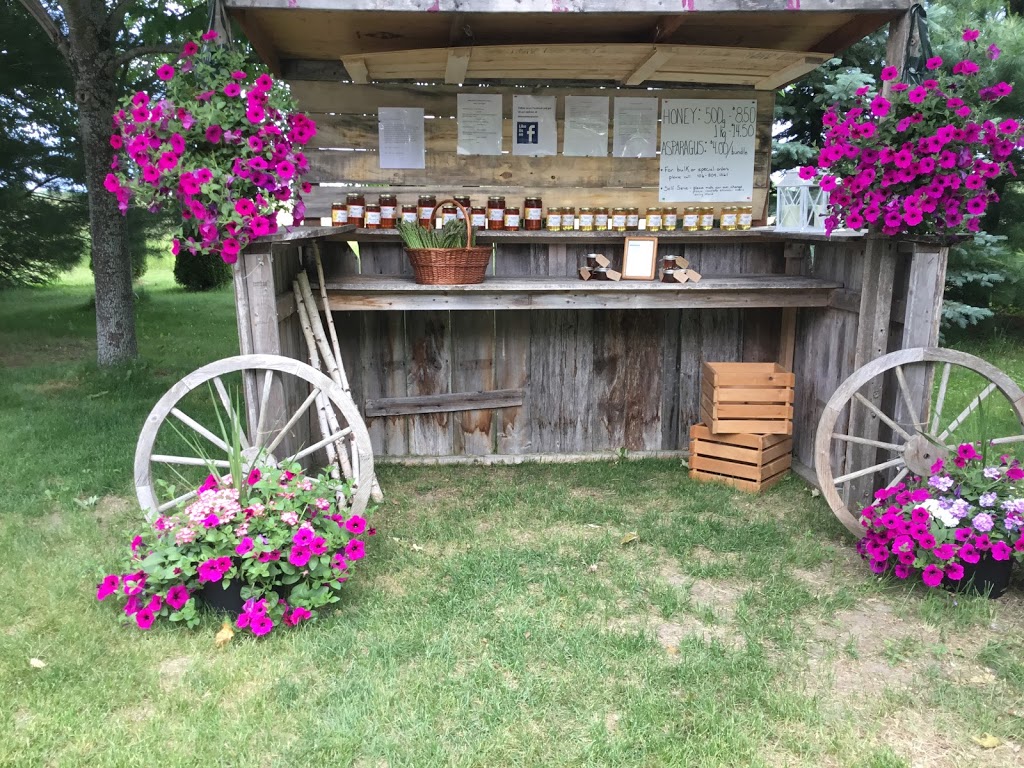 MoreRoses Apiaries & Honey | 29 Marine Dr, Hastings, ON K0L 1Y0, Canada | Phone: (416) 809-1561
