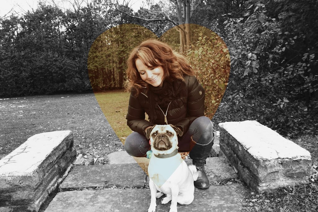 Ravenswood Dog Sitters | 369 Aurora Crescent, Burlington, ON L7N 2B1, Canada | Phone: (647) 702-0046