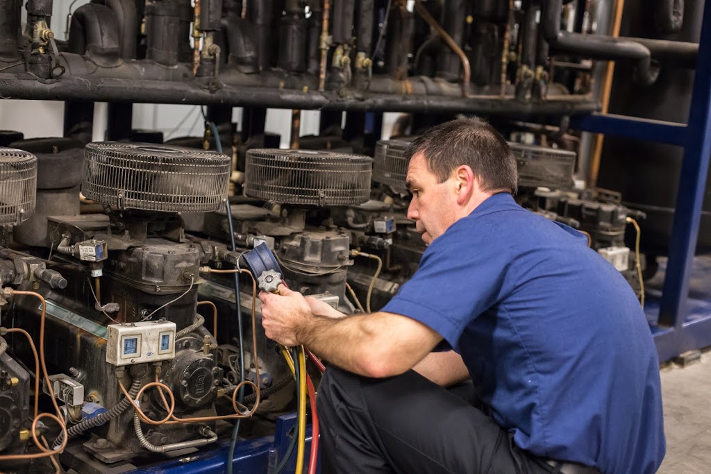 JDS Multiservice | 3685 Rue Saint Joseph, Trois-Rivières, QC G8Z 4J4, Canada | Phone: (819) 370-3434