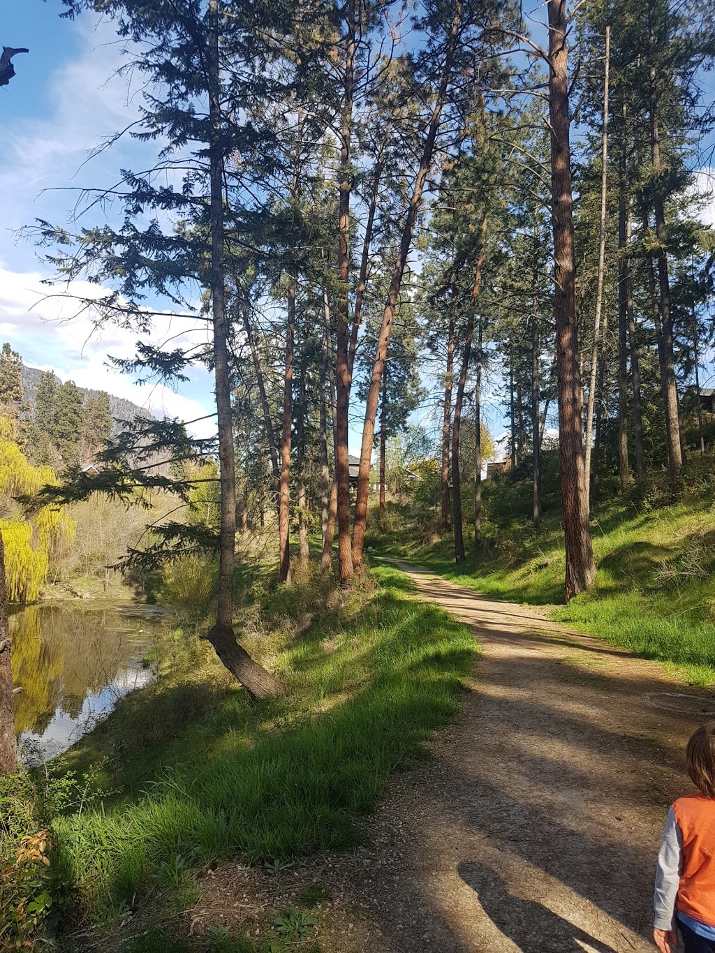 Gopher Creek Linear Park | 1723 Lynrick Rd, Kelowna, BC V1P 1E9, Canada
