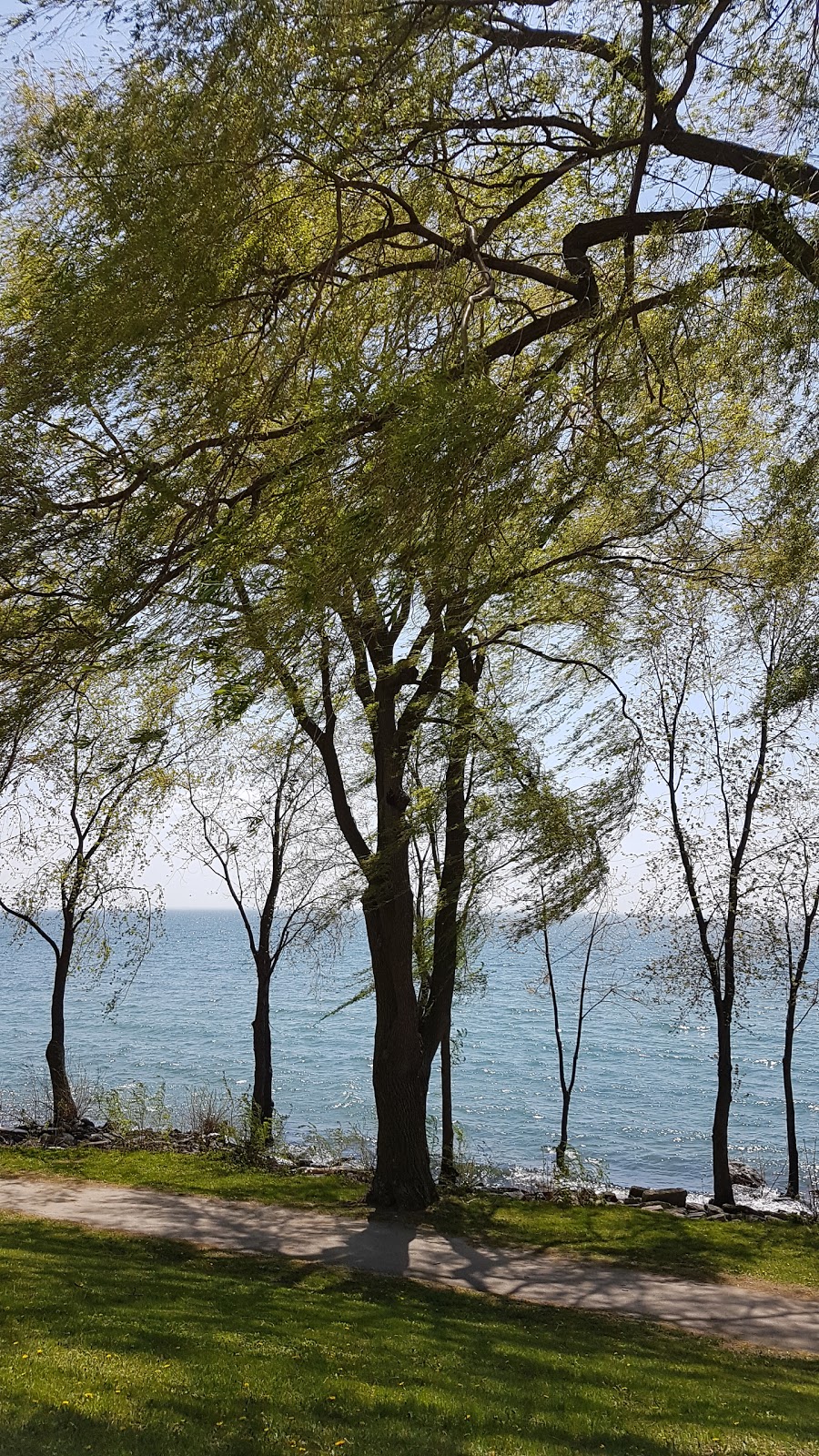 Len Ford Park | 295 Lake Promenade, Etobicoke, ON M8W 1B4, Canada | Phone: (416) 393-2489