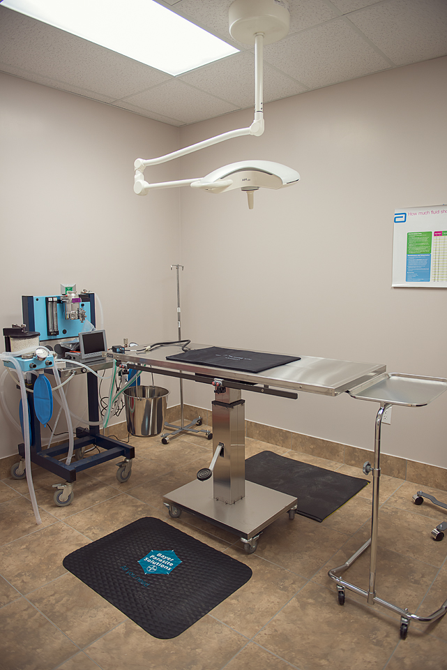 Hazeldean Animal Hospital | 5685 Hazeldean Rd, Stittsville, ON K2S 0P6, Canada | Phone: (613) 831-8788
