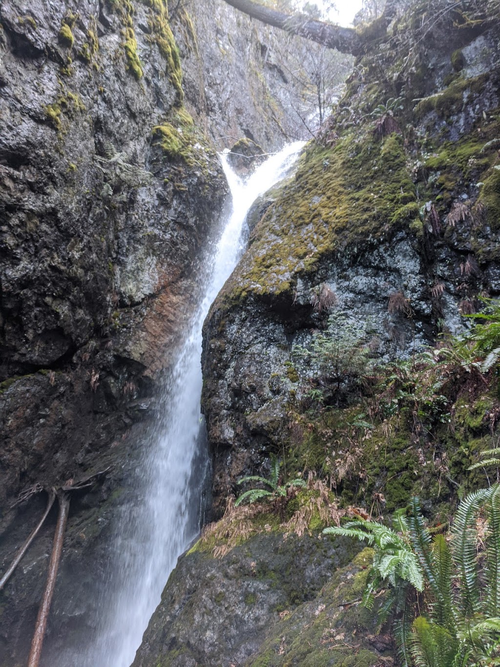 Cumberland Lake Park Campground | 1100 Comox Lake Rd, Cumberland, BC V0R 1S0, Canada | Phone: (250) 702-8833
