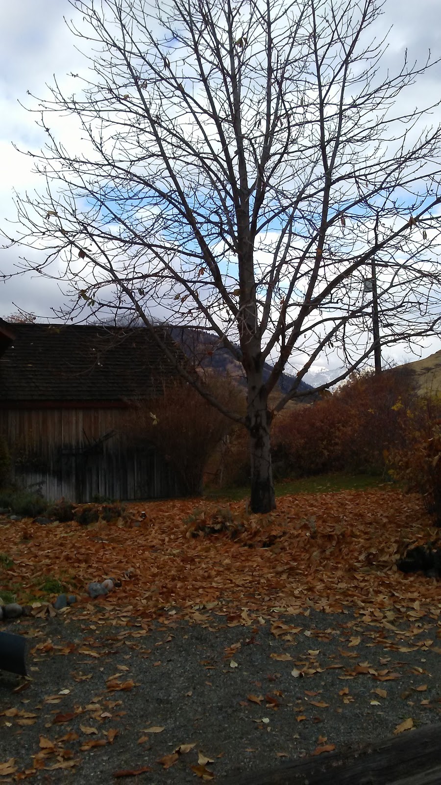 South Similkameen Museum | 604 6 Ave, Keremeos, BC V0X 1N5, Canada