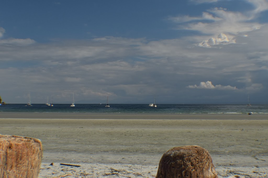 Tribune Bay Campsite | 5200 Shields Rd, Hornby Island, BC V0R 1Z0, Canada | Phone: (250) 335-2359