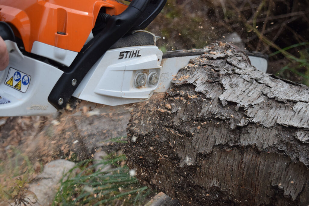 Ridgetop Tree Service | 385741 New Durham Rd, Burgessville, ON N0J 1C0, Canada | Phone: (519) 532-3613