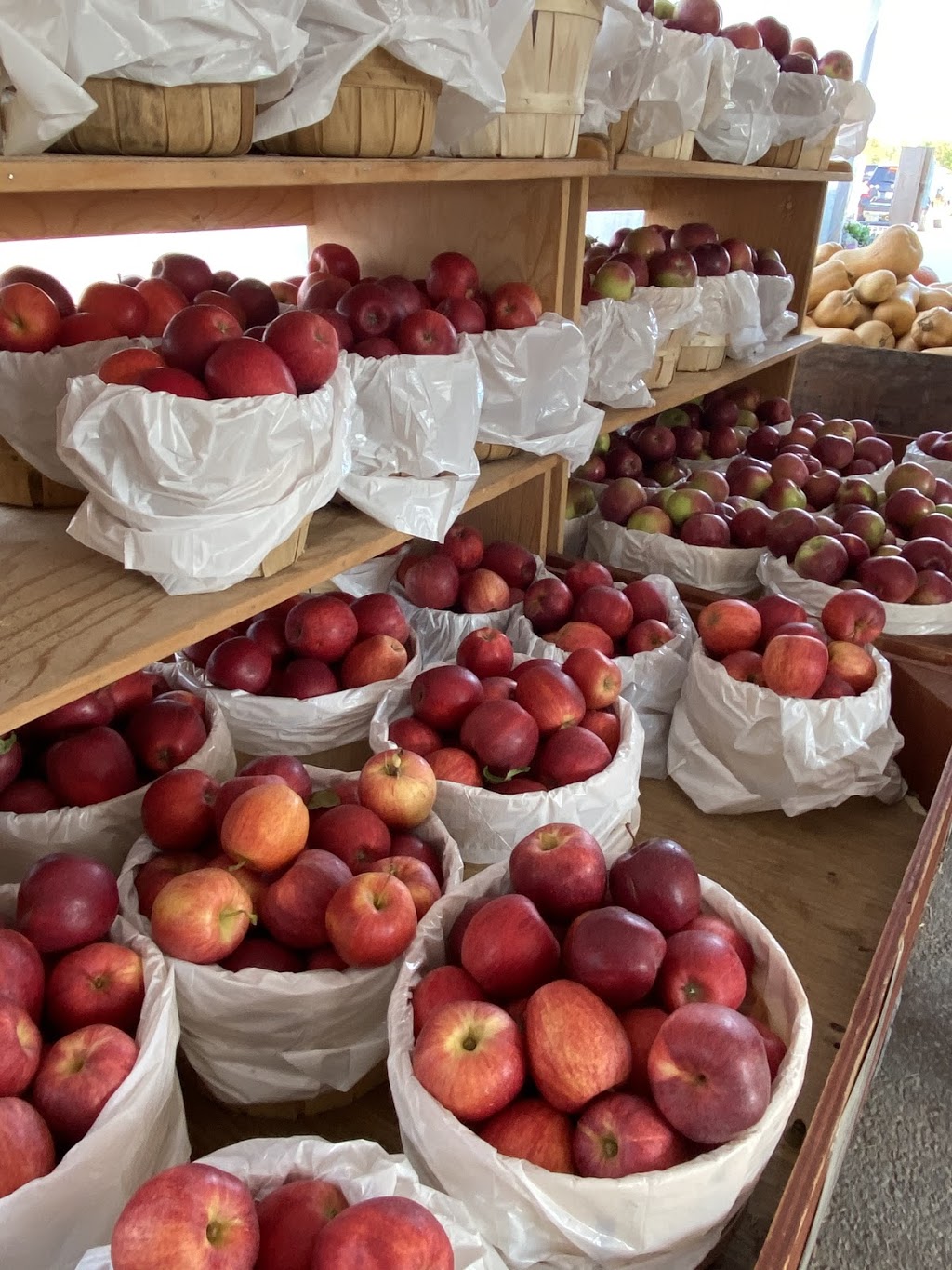 Goldsmiths Orchard Market | 207600 ON-26, Thornbury, ON N0H 2P0, Canada | Phone: (519) 599-3246
