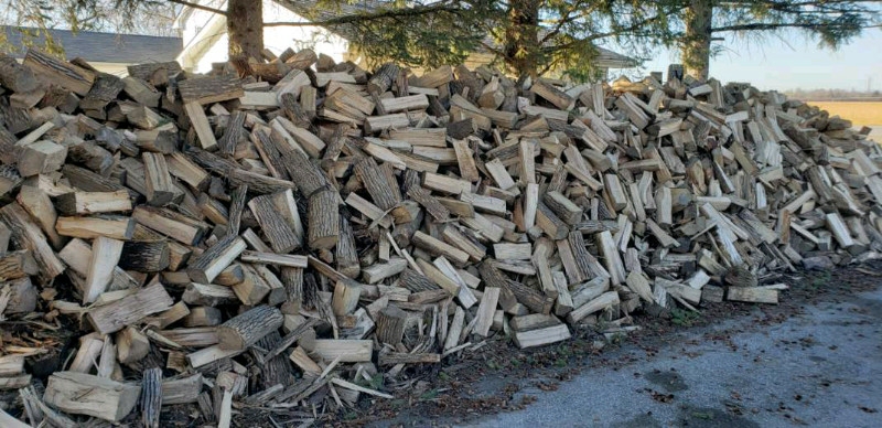 Utopia Forestry | 62 Denney Dr, Baxter, ON L0L 1N0, Canada | Phone: (705) 440-6355