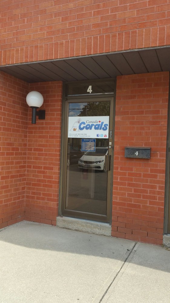 Canada Corals Inc. | 931 Brunette Ave, Coquitlam, BC V3K 6T5, Canada | Phone: (236) 313-3474
