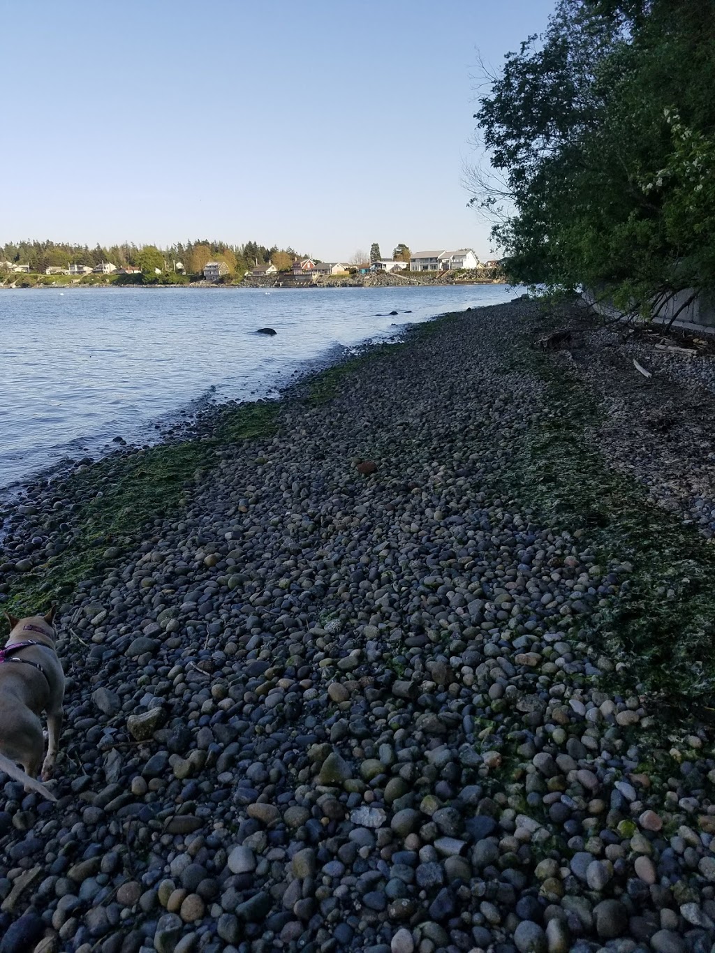 Samish Island Public Beach Access | 4664 Wharf Rd, Bow, WA 98232, USA