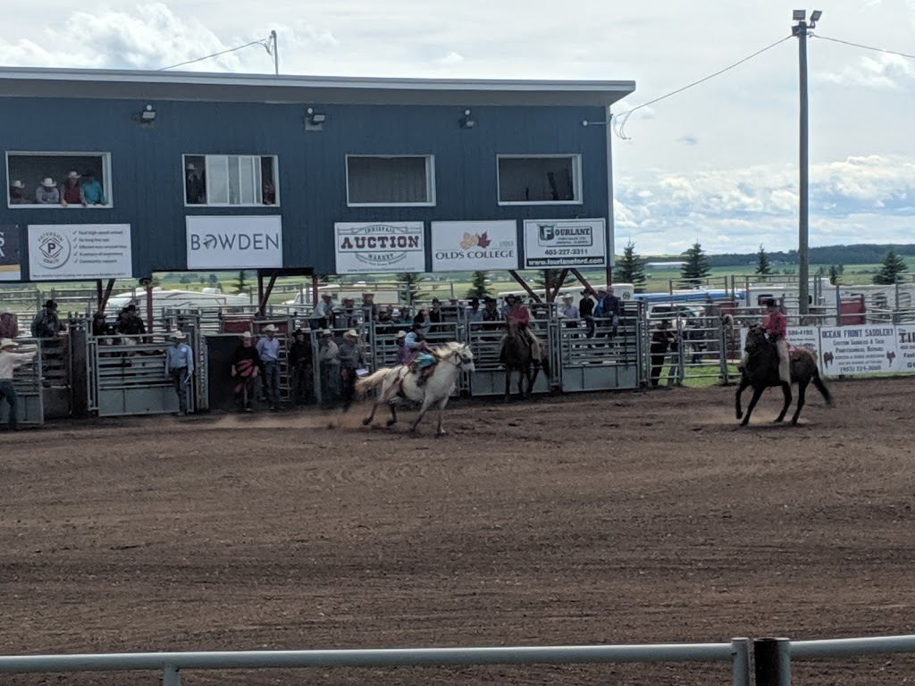 Bowden Daze Rodeo | Bowden, AB T0M 0K0, Canada | Phone: (403) 559-6316