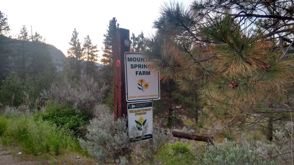 Mountain Springs Nature Retreat B&B | 564 Hwy 3A, Kaleden, BC V0H 1K0, Canada
