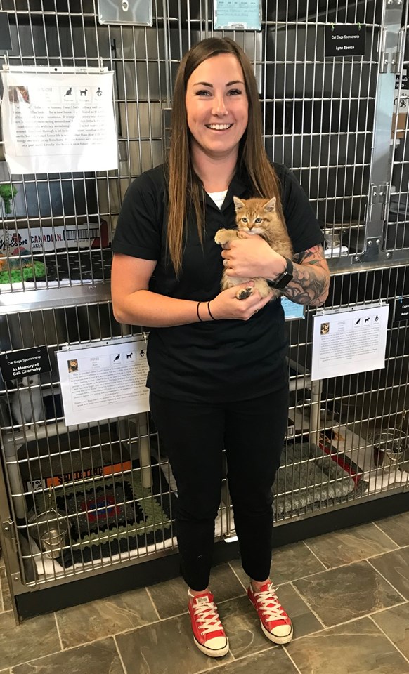Cambridge & District Humane Society | 1650 Dunbar Rd, Cambridge, ON N1R 8J5, Canada | Phone: (519) 623-7722