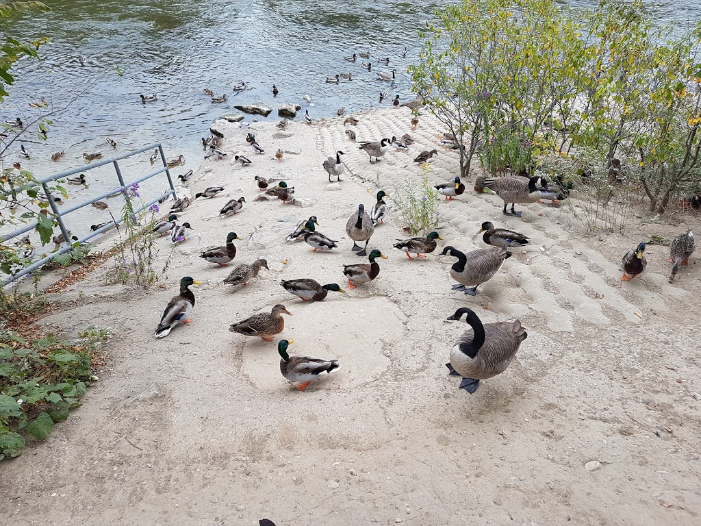 Spring Bank Park | 1085 Commissioners Rd W, London, ON N6K 4Y6, Canada | Phone: (519) 661-5575