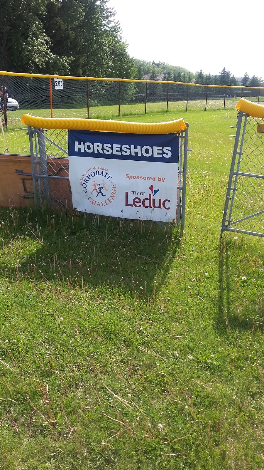 Ellerslie Curling Club | 530 71 St SW, Edmonton, AB T6X 1A3, Canada | Phone: (780) 988-5784