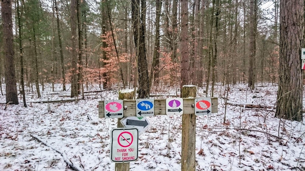Durham Regional Forest | Concession Rd 7, Uxbridge, ON L9P 1R4, Canada | Phone: (905) 852-0095