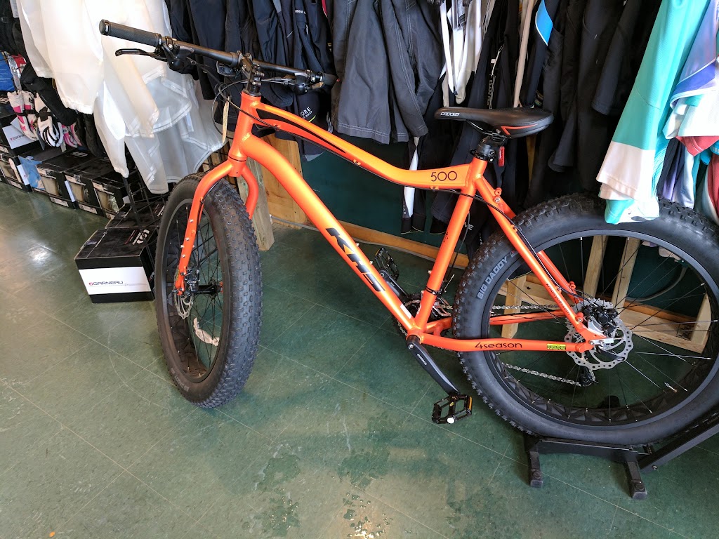 Little Eds Ski & Bike Shop | 15 Balsam St Unit 2, Collingwood, ON L9Y 4H6, Canada | Phone: (705) 444-5488