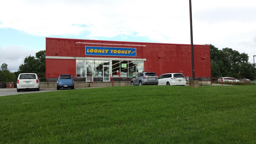 Looney Tooney Plus Walkerton | 126 McNab St, Walkerton, ON N0G 2V0, Canada | Phone: (519) 881-0004
