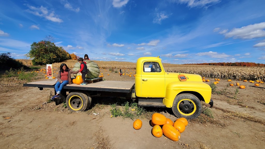 Downeys Apple Farm | 1355 Hopewell Creek Rd, Maryhill, ON N0B 2B0, Canada | Phone: (519) 590-4777