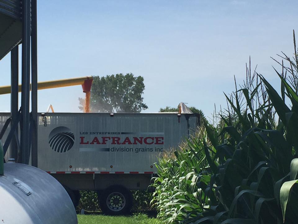 Les Moulées Bellifrance | 6260 Boulevard Laframboise, Saint-Hyacinthe, QC J2R 1G2, Canada | Phone: (450) 253-5537