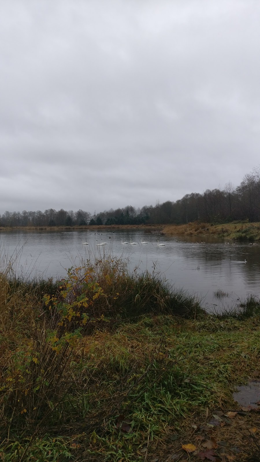 Surrey Lake Park | 7500 152 St, Surrey, BC V3S 3R1, Canada | Phone: (604) 501-5050