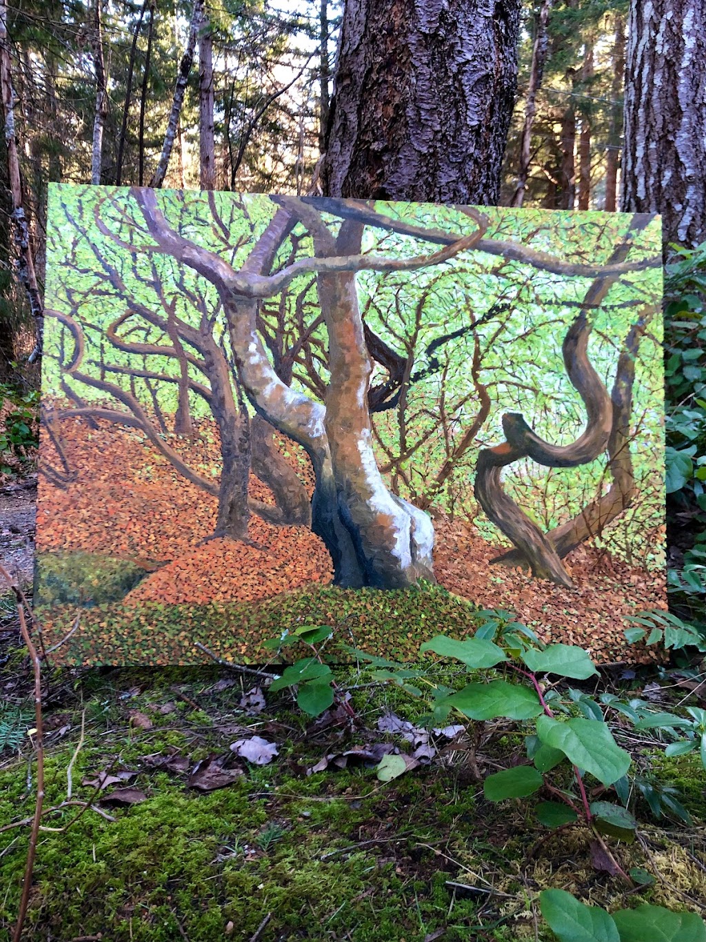 Chantalina Arts | 1851 Ryan Rd E, Comox, BC V9M 4C7, Canada | Phone: (403) 801-3576