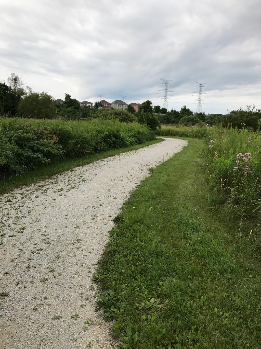 Levis Valley Park | 1575 Westbridge Way, Mississauga, ON L5N 7S9, Canada