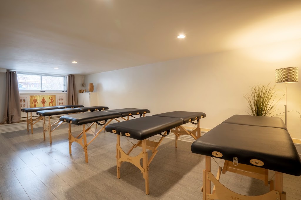 Emeraude Collectif | 1135 Bd Saint-Joseph E, Montréal, QC H2J 1L3, Canada | Phone: (438) 365-2429