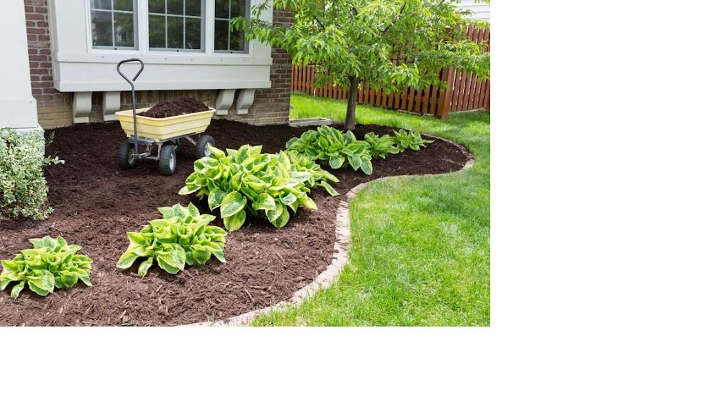 TOM’S GARDEN SERVICES | 6461 Bella Vista Dr, Victoria, BC V8Z 7G6, Canada | Phone: (250) 217-3101