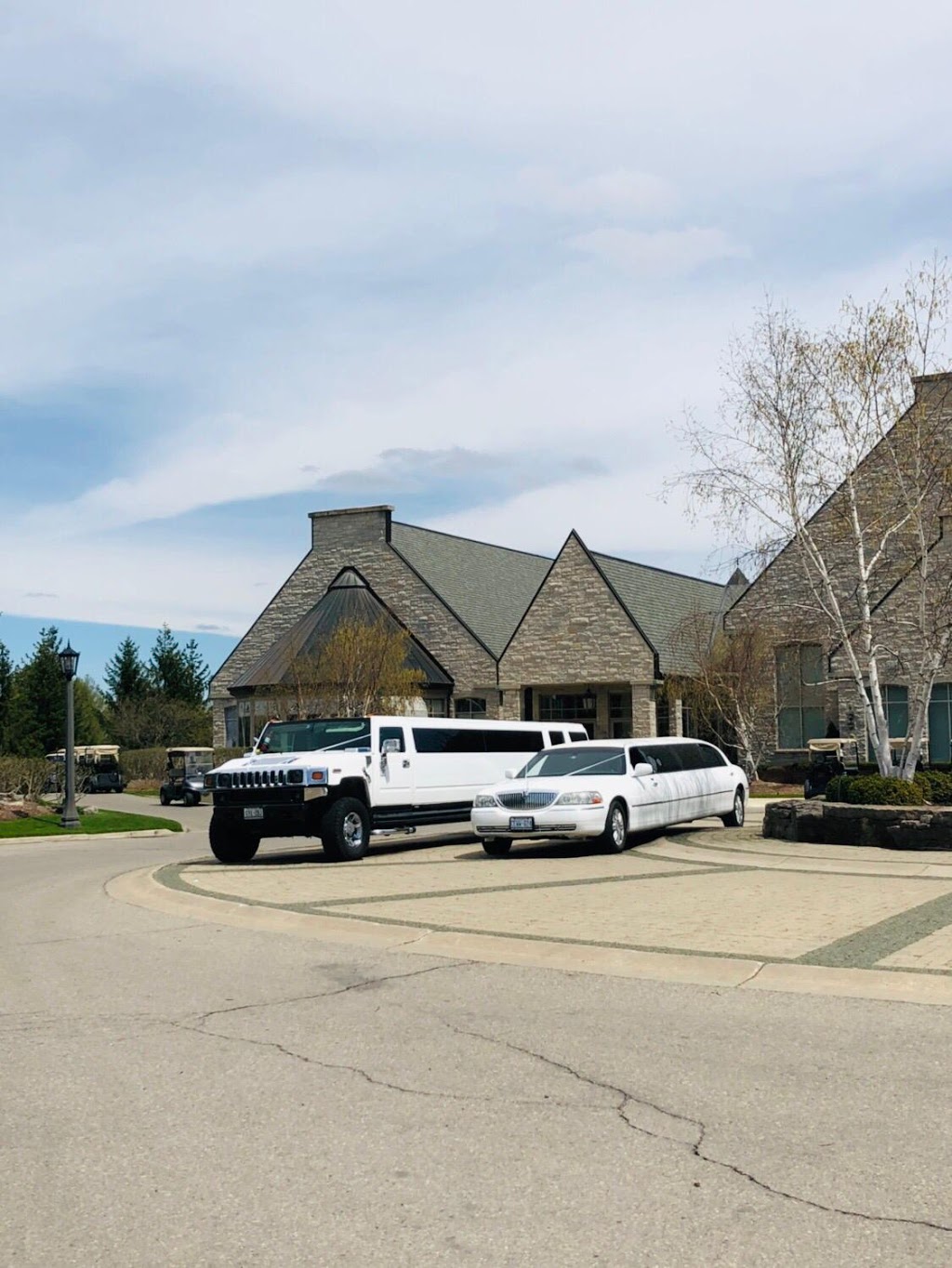 Markham Limo & Party Bus Service | 174 Stather Crescent, Markham, ON L3S 2W9, Canada | Phone: (905) 614-2649