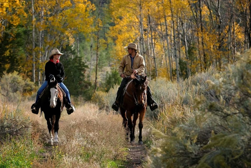 Sundance Guest Ranch | 2591 Kirkland Ranch Rd, Ashcroft, BC V0K 1A0, Canada | Phone: (250) 453-2422