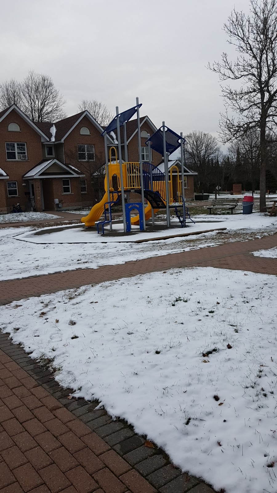 Maple View | 2117 Loop Rd, Wilberforce, ON K0L 3C0, Canada | Phone: (705) 448-3652