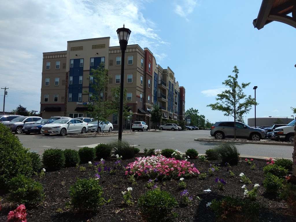 Staybridge Suites Buffalo-Amherst | 1290 Sweet Home Rd, Amherst, NY 14228, USA | Phone: (716) 276-8750