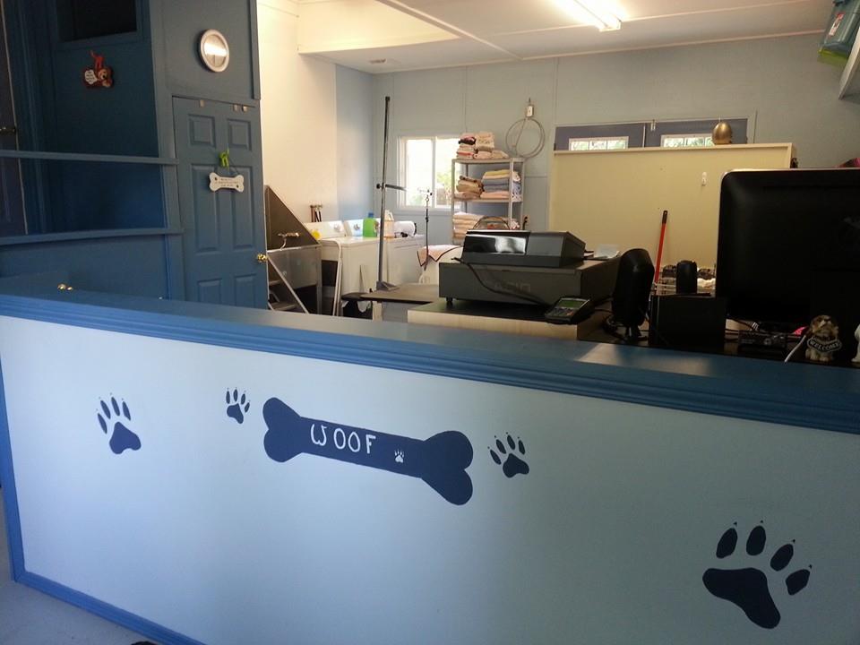 Jens Dog Grooming Salon | 571 Erie St, Wyoming, ON N0N 1T0, Canada | Phone: (519) 845-3596
